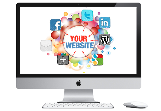 social media expert based in armagh